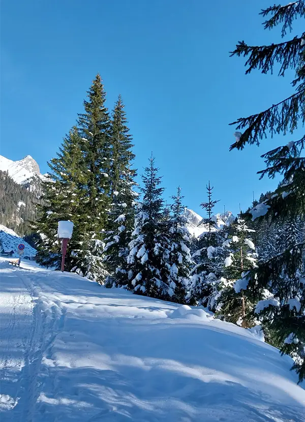 Settimana bianca in Val di Fassa