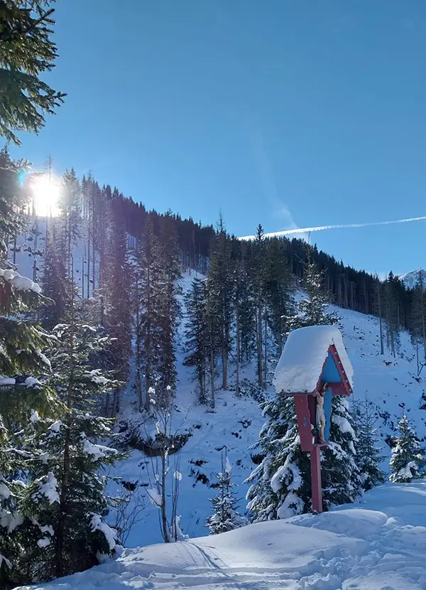 Piste da sci in Val di Fassa