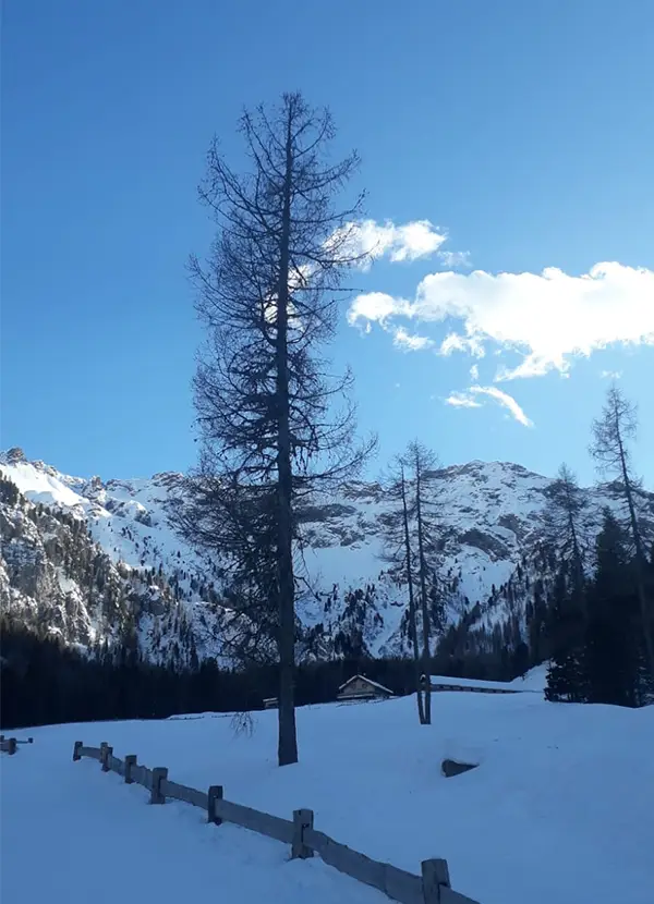Sci di fondo in Val di Fassa