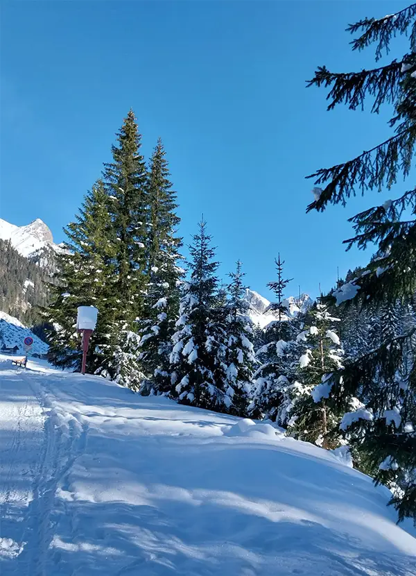 Hotel Cima Dodici Offerte & Pacchetti Vacanza invernale sulla neve