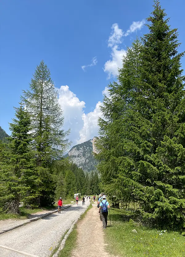Hotel Cima Dodici Angebote & Urlaubspakete