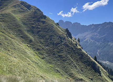 Take the Catinaccio cable car up to the Ciampedie viewpoint
